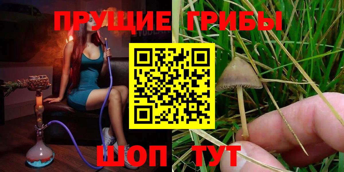 Реутов  Галлюциногенные грибы GOLDEN TEACHER  Вход с VPN 