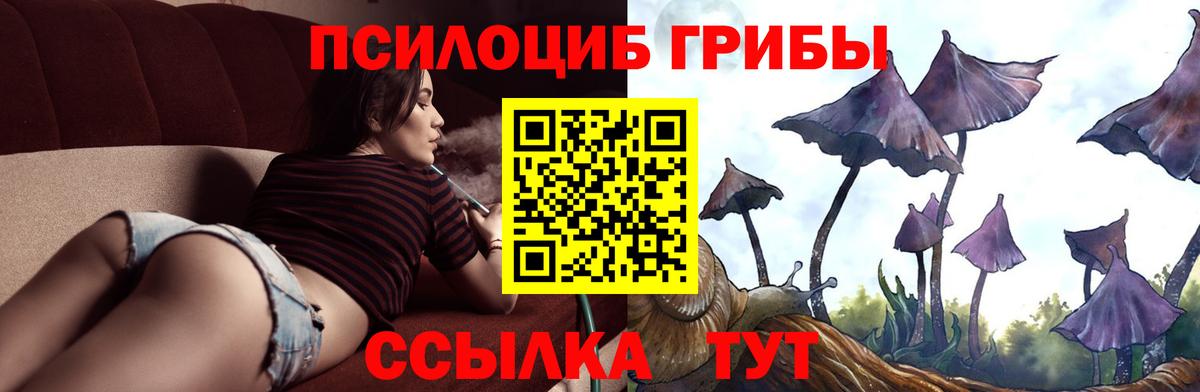 Псилоцибиновые грибы Magic Shrooms Реутов